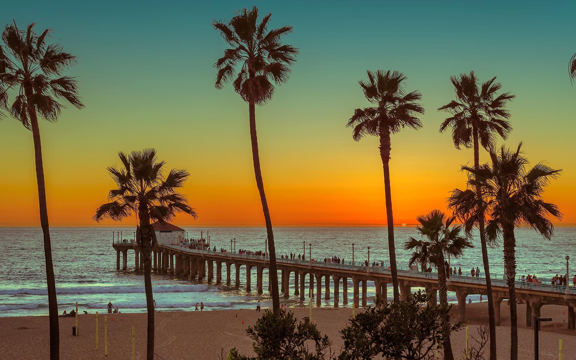 Browning & Trudeau Insurance Associates Inc - Palm trees at Manhattan Beach at Sunset